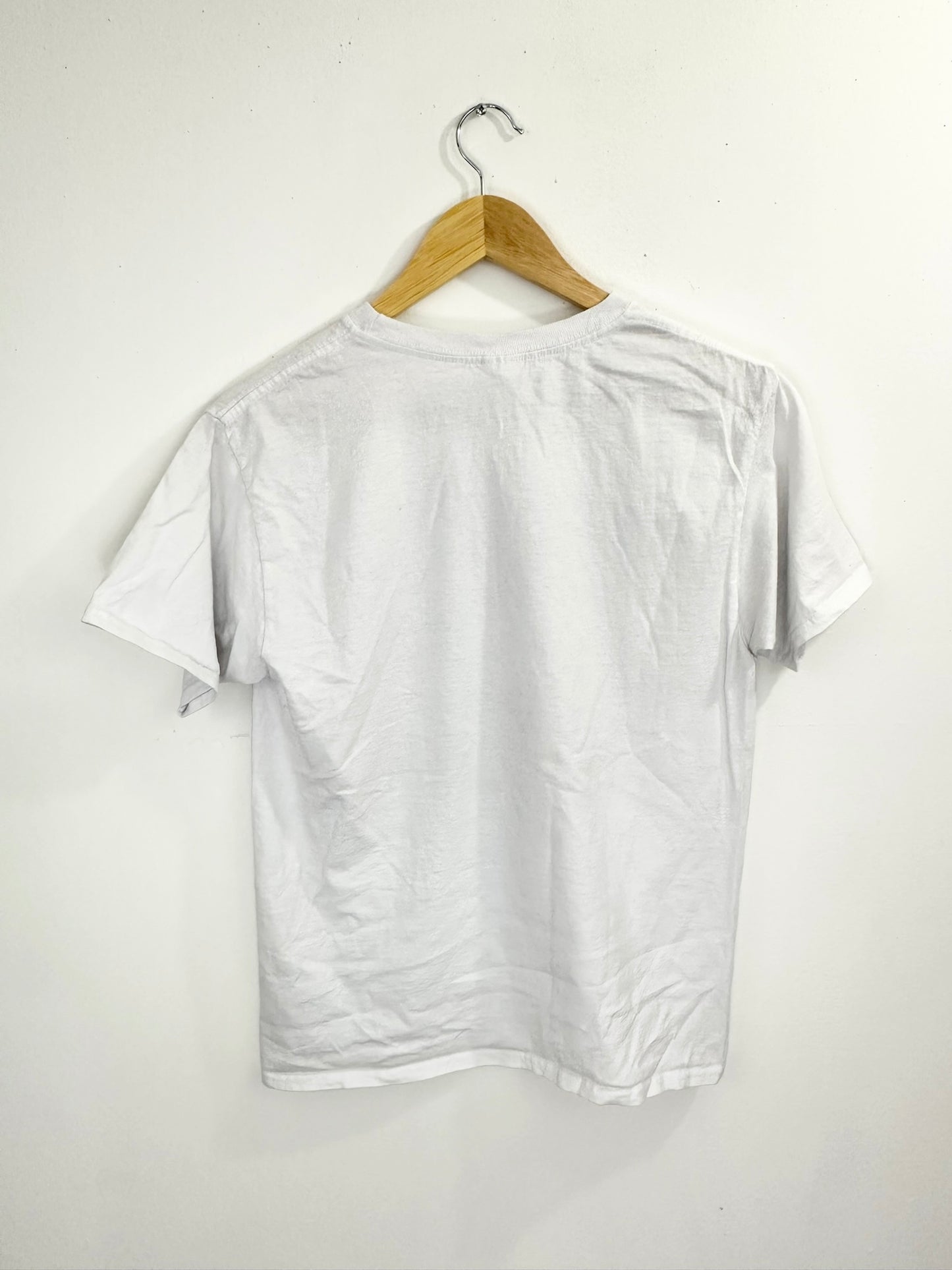 Venice Florida Color Changing T-Shirt